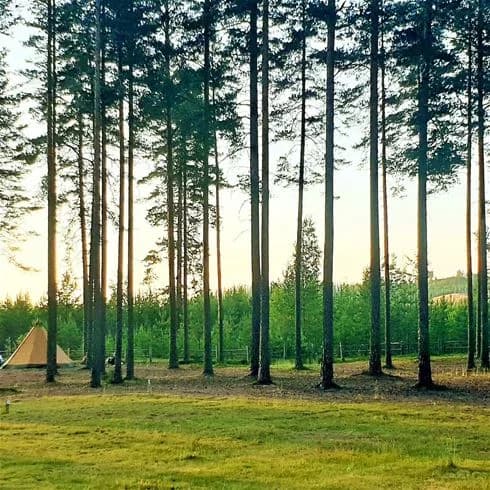 Bo prisvärt på vårt naturnära vandrarhem i Gräsmark, Värmland! Naturcamping Lagom vid Lillsjön erbjuder bad, fiske, vandring & tillgång till alla faciliteter.