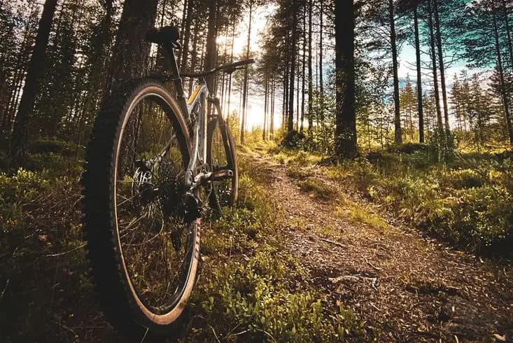 Bo på vandrarhem hos Åsarna Skicenter, Guldbyarnas hemvist! Upplev skidåkning, vandring, fiske & Jämtlands natur. Restaurang, bastu & shopping. Öppet året runt.