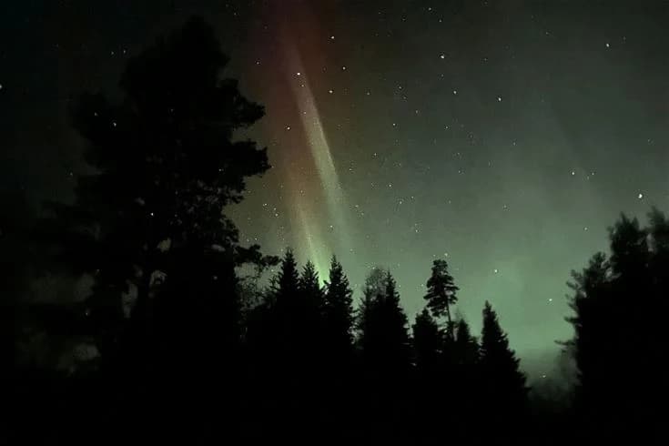 Bo på Ammeråns Fiskecamp vandrarhem i Hammarstrand! Naturnära boende vid Ammerån med fiske, vandring & bastu. Rum, stugor & camping. Öppet året runt.
