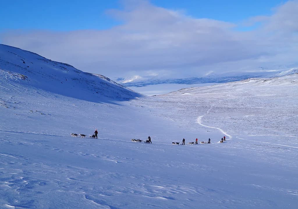 Abisko Fjällturer - Bild 2