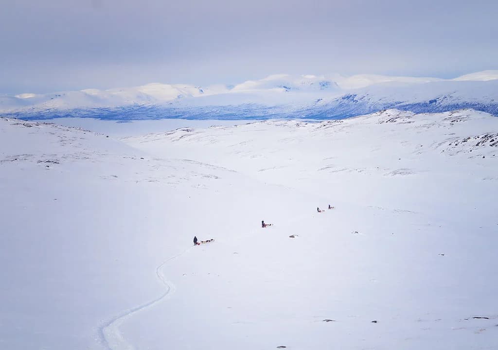 Abisko Fjällturer - Bild 4