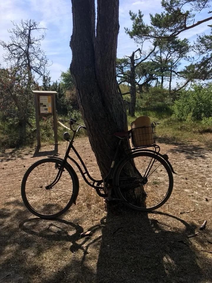 Backåkra Vandrarhem - Bild 5