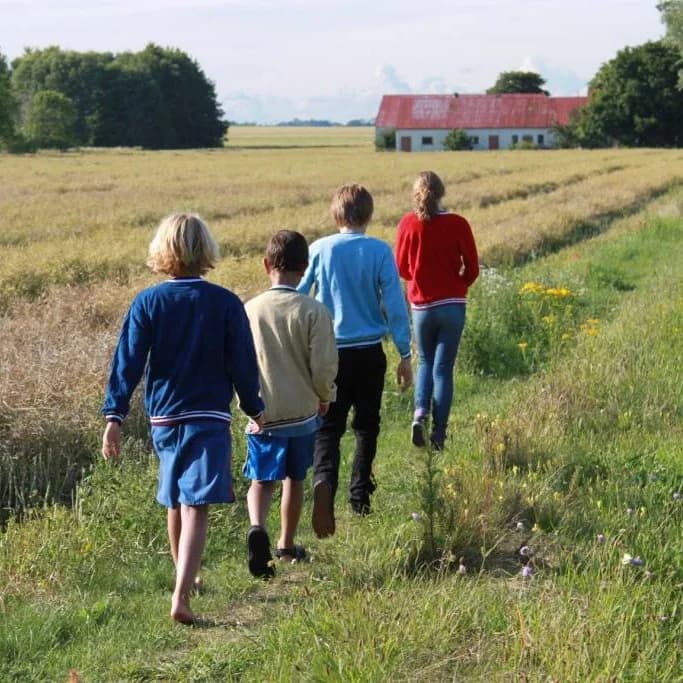 Backåkra Vandrarhem - Bild 6