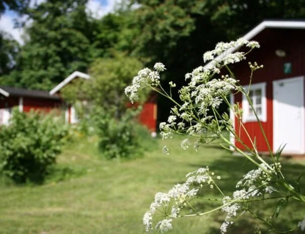 Klåveröds vandrarhem - Bild 3