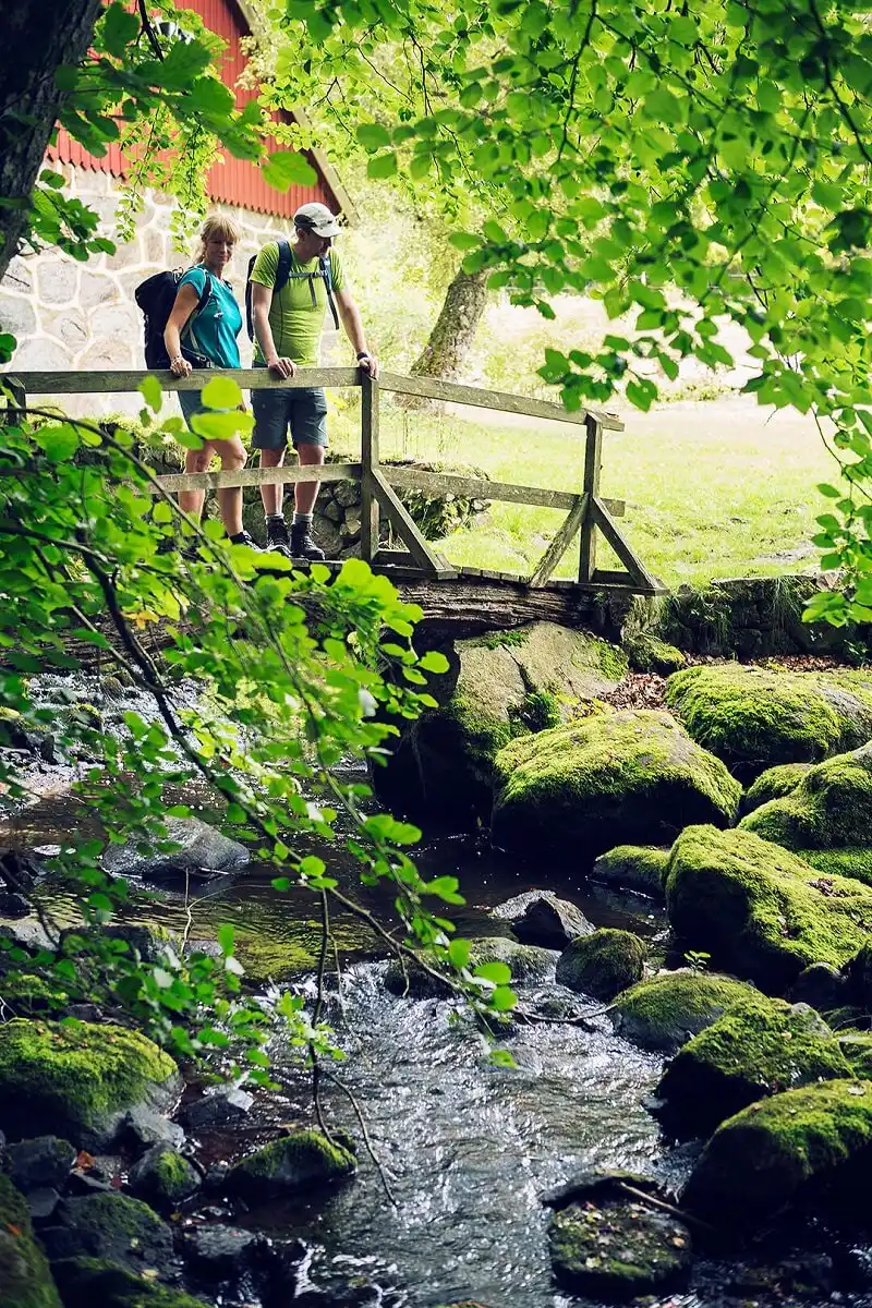 Råkulle Vandrarhem - Bild 3