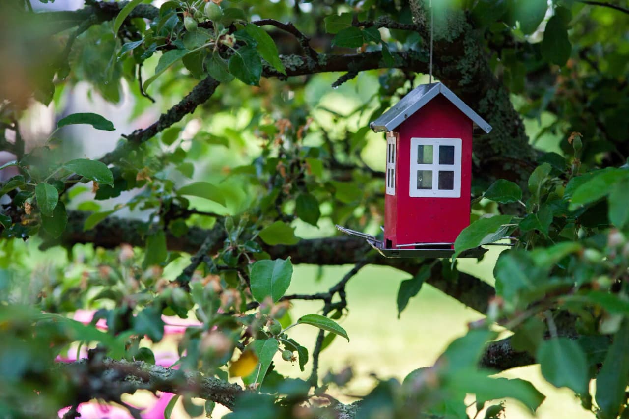 STF vandrarhem i Älvdalen nära fjällvärlden med vandringsleder och Dalälven