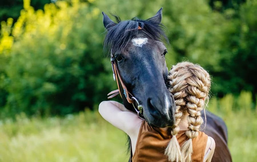 Strömsholms Vandrarhem - Bild 2