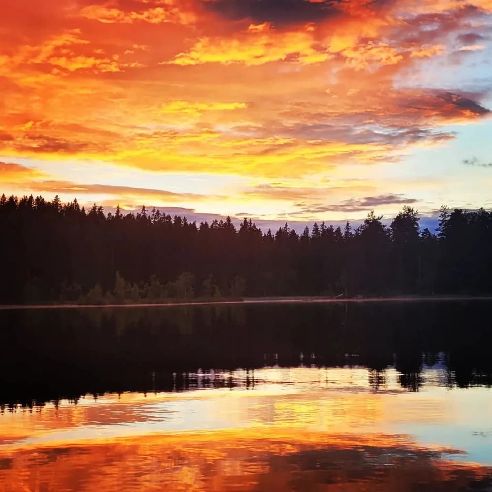 Upplev äventyr och natur på Pankoviken - Kloten vandrarhem! Boende vid sjö med klätterpark, kanot, bastu & fiske i Bergslagen. Perfekt för grupper & familjer.
