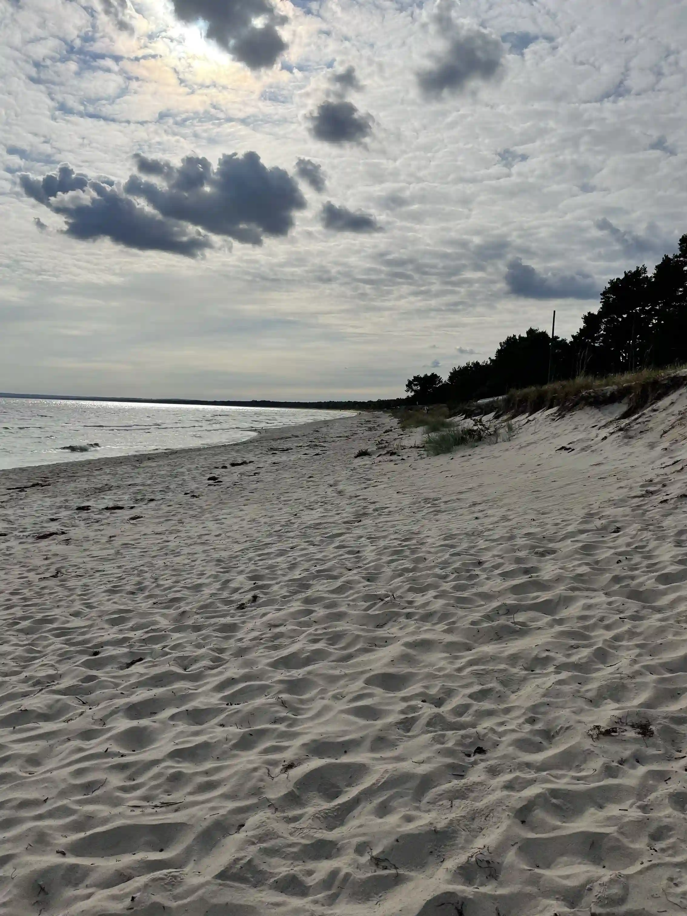Bo på vandrarhem eller camping vid Åhus Missionsgård! Naturnära boende i tallskog nära stranden. Rum, stugor & camping. Kök, dusch, WC. Perfekt för Åhus!