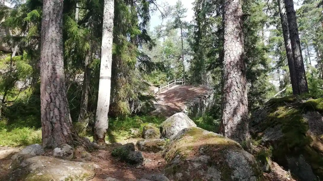 Bo på Stigmansgården i Tiveden! Stugor & vandrarhem vid Bocksjön, nära nationalparken. Perfekt för vandring, cykling, bad & läger. Husdjur välkomna!
